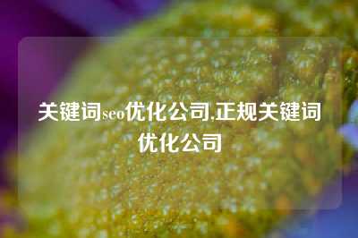 关键词seo优化公司,正规关键词优化公司