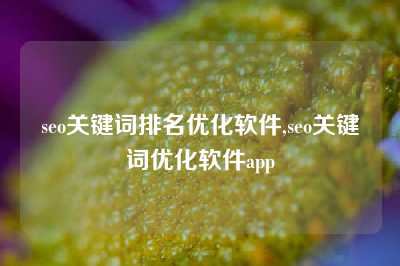 seo关键词排名优化软件,seo关键词优化软件app