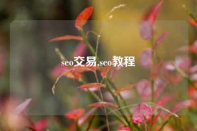 seo交易,seo教程