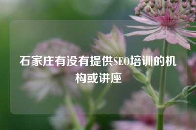 石家庄有没有提供SEO培训的机构或讲座