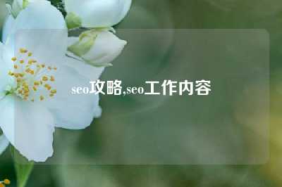 seo攻略,seo工作内容