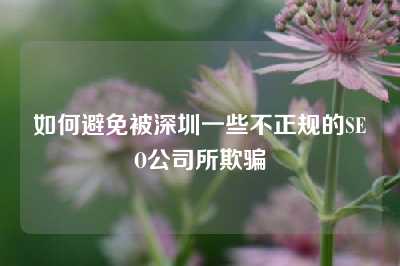 如何避免被深圳一些不正规的SEO公司所欺骗