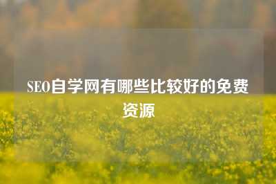 SEO自学网有哪些比较好的免费资源