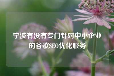 宁波有没有专门针对中小企业的谷歌SEO优化服务