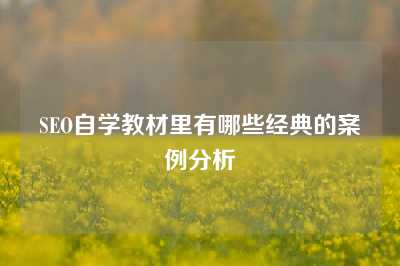 SEO自学教材里有哪些经典的案例分析