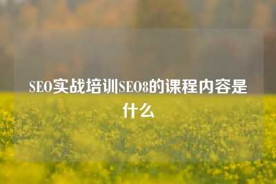 SEO实战培训SEO8的课程内容是什么