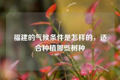 福建的气候条件是怎样的，适合种植哪些树种