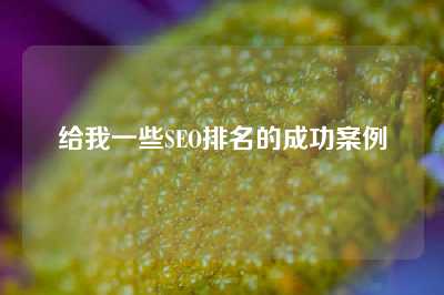 给我一些SEO排名的成功案例