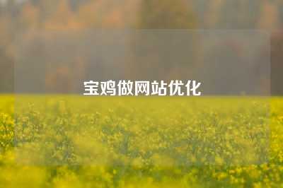 宝鸡做网站优化