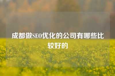 成都做SEO优化的公司有哪些比较好的