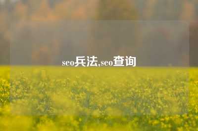 seo兵法,seo查询