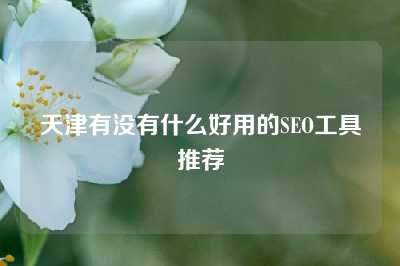 天津有没有什么好用的SEO工具推荐