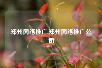 郑州网络推广,郑州网络推广公司