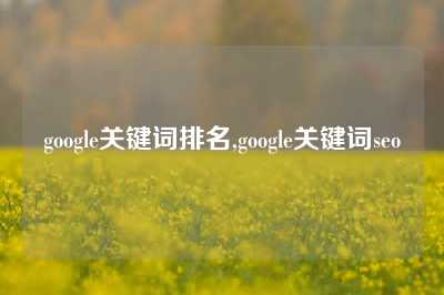 google关键词排名,google关键词seo