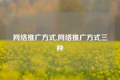 网络推广方式,网络推广方式三种