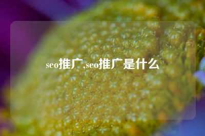 seo推广,seo推广是什么