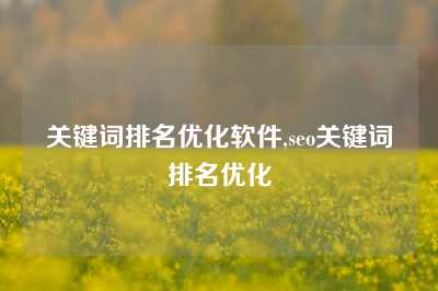 关键词排名优化软件,seo关键词排名优化