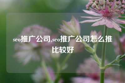 seo推广公司,seo推广公司怎么推比较好