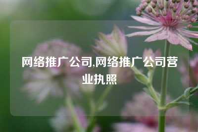 网络推广公司,网络推广公司营业执照