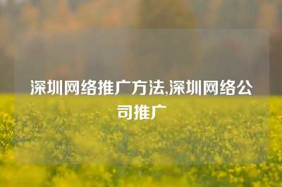 深圳网络推广方法,深圳网络公司推广