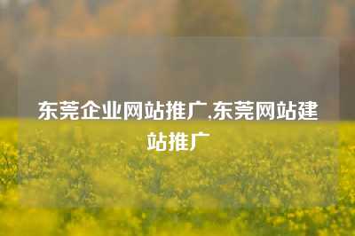 东莞企业网站推广,东莞网站建站推广