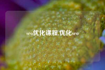 seo优化课程,优化seo