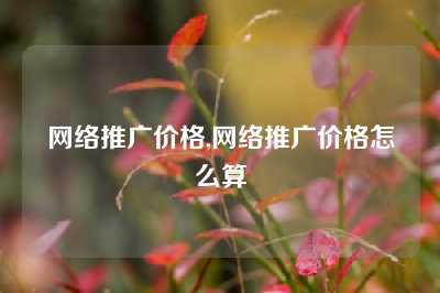 网络推广价格,网络推广价格怎么算