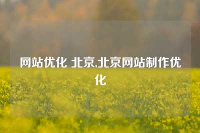 网站优化 北京,北京网站制作优化