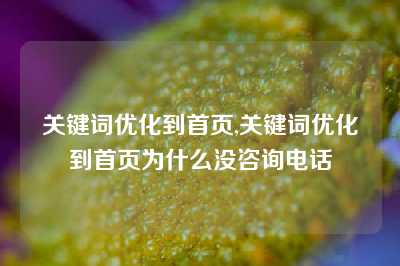 关键词优化到首页,关键词优化到首页为什么没咨询电话