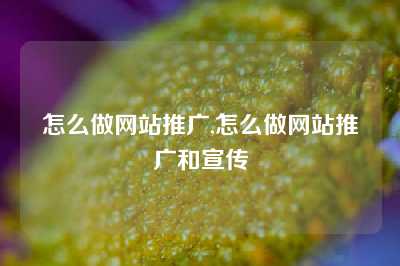 怎么做网站推广,怎么做网站推广和宣传