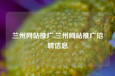 兰州网站推广,兰州网站推广招聘信息