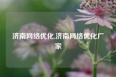 济南网络优化,济南网络优化厂家