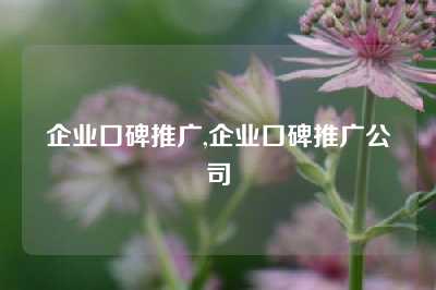 企业口碑推广,企业口碑推广公司