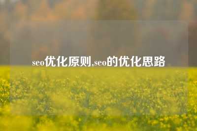 seo优化原则,seo的优化思路