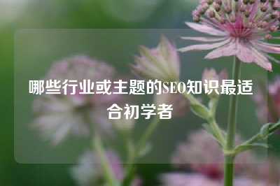 哪些行业或主题的SEO知识最适合初学者