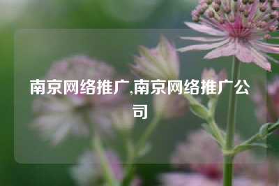 南京网络推广,南京网络推广公司