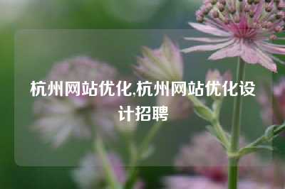 杭州网站优化,杭州网站优化设计招聘