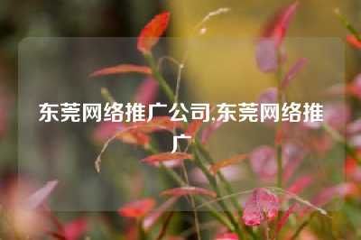 东莞网络推广公司,东莞网络推广