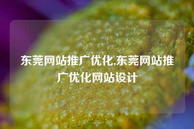 东莞网站推广优化,东莞网站推广优化网站设计