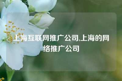 上海互联网推广公司,上海的网络推广公司