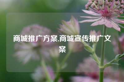 商城推广方案,商城宣传推广文案