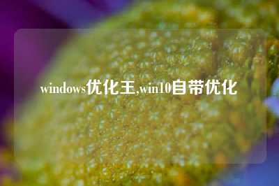 windows优化王,win10自带优化