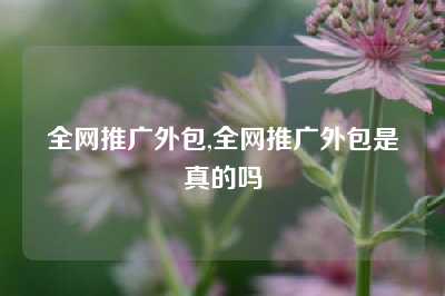 全网推广外包,全网推广外包是真的吗