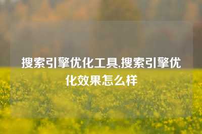 搜索引擎优化工具,搜索引擎优化效果怎么样