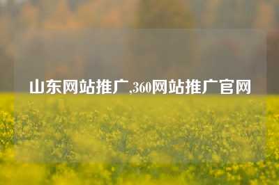 山东网站推广,360网站推广官网