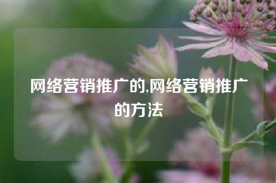 网络营销推广的,网络营销推广的方法