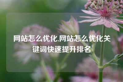 网站怎么优化,网站怎么优化关键词快速提升排名