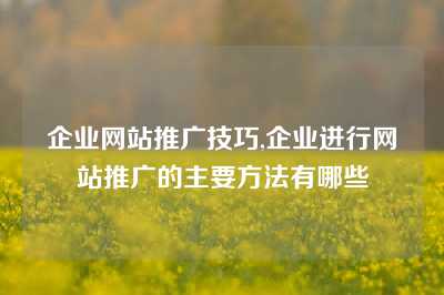 企业网站推广技巧,企业进行网站推广的主要方法有哪些