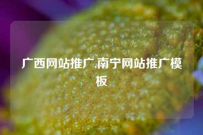 广西网站推广,南宁网站推广模板