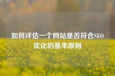 如何评估一个网站是否符合SEO优化的基本原则